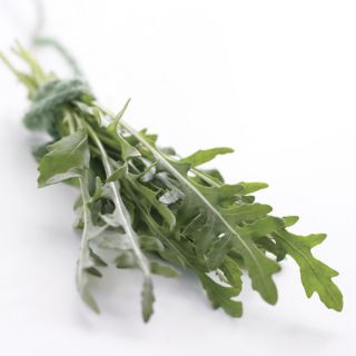 Voyageur Wild Arugula Thumbnail